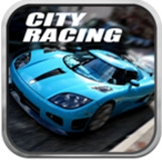 City Racing 3D(3Dʯ)
