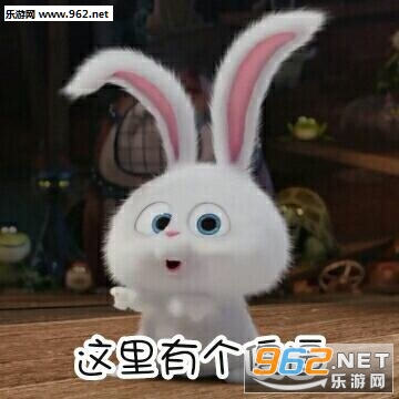 兔子的表情包小白_兔子小白动态表情包