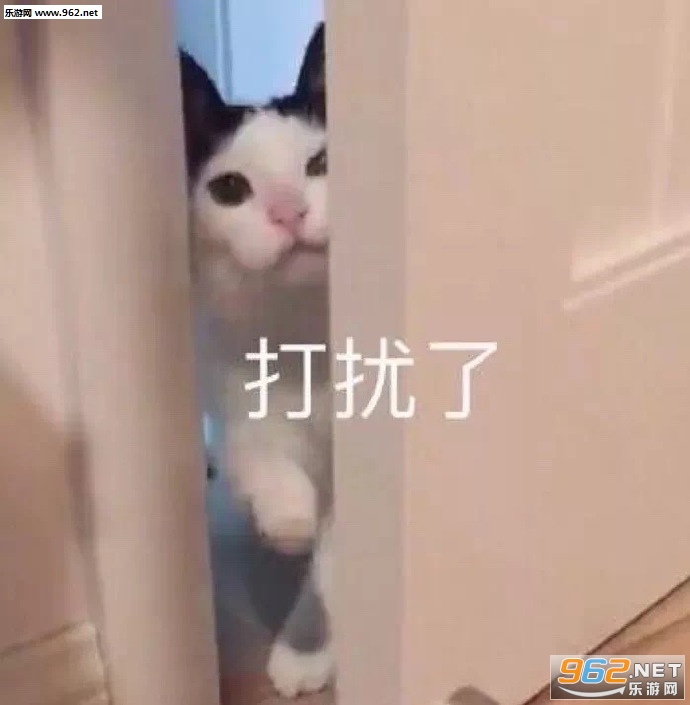 齽