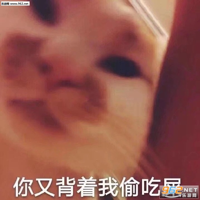 齽