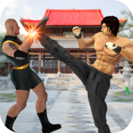  Kung Fu Champion Fighting Android