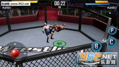 Real Wrestling 3D׿v2.1(ˤ)ͼ1