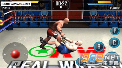 Real Wrestling 3D׿v2.1(ˤ)؈D3