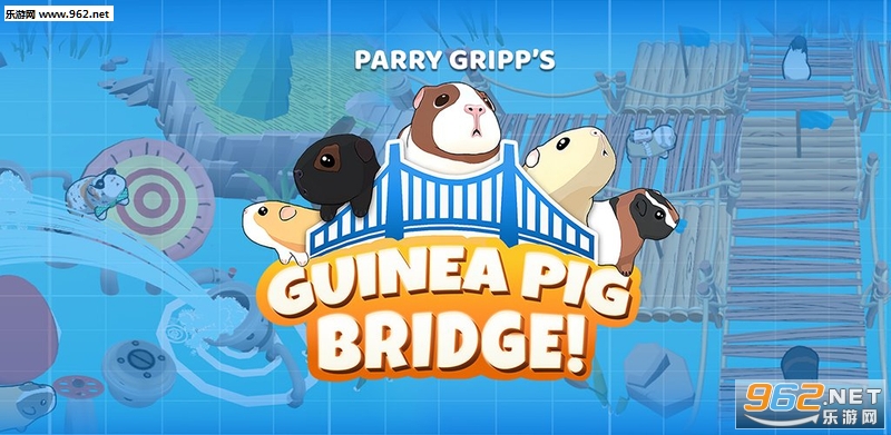GUINEA PIG BRIDGE°