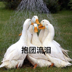 ҲûǮͼƬ