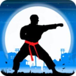 Karate Fighter : Real battles(ֵսʿ׿)