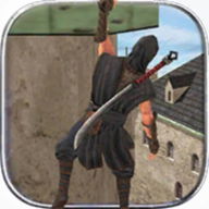 Ninja Samurai Assassin Hero II(ʿ̿ӢII׿)