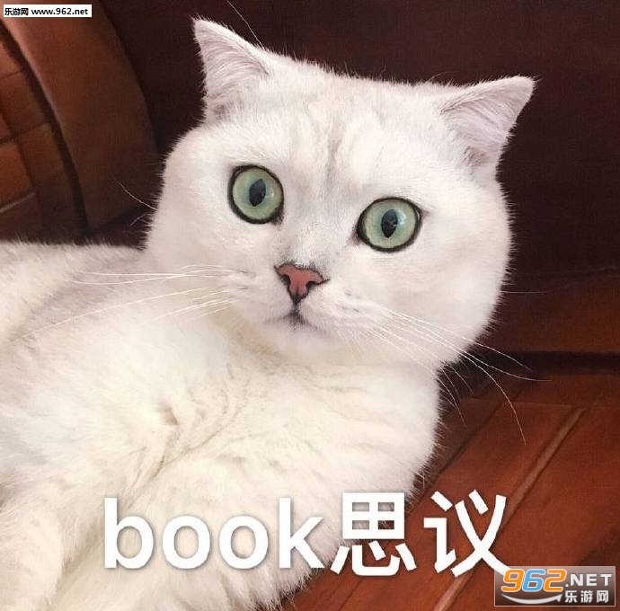 还不起床表情包-book思议猫咪表情包下载-乐游网游戏