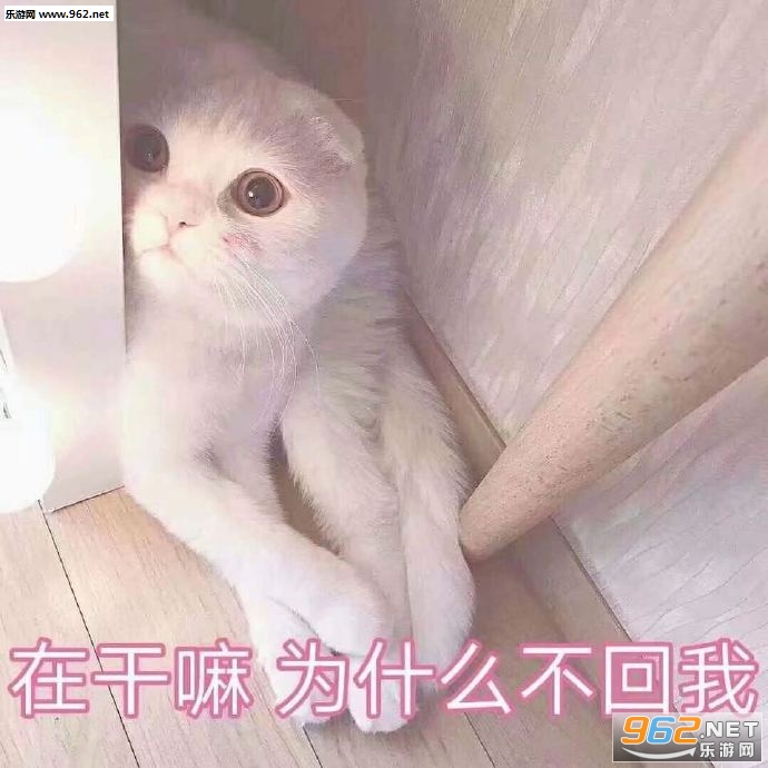 鲻ô˱ͼƬ