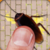 Cockroach Smasher()