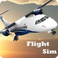 Flight Sim(ģΰ׿)