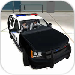 RC Car Police Chase Cop Driving(У԰ð)v1.13