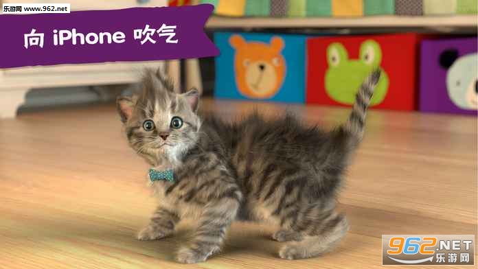 Little-Kitten(Little Kitten׿)v1.1.9ͼ1