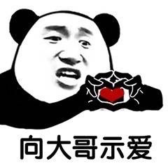 您永远是我大哥表情包