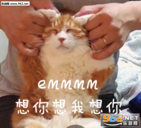 emmmm想你想我想你表情包图片