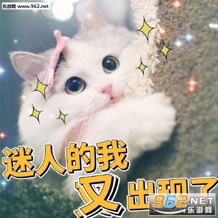 没人疼没人爱我是地里的小白菜猫咪可怜表情包