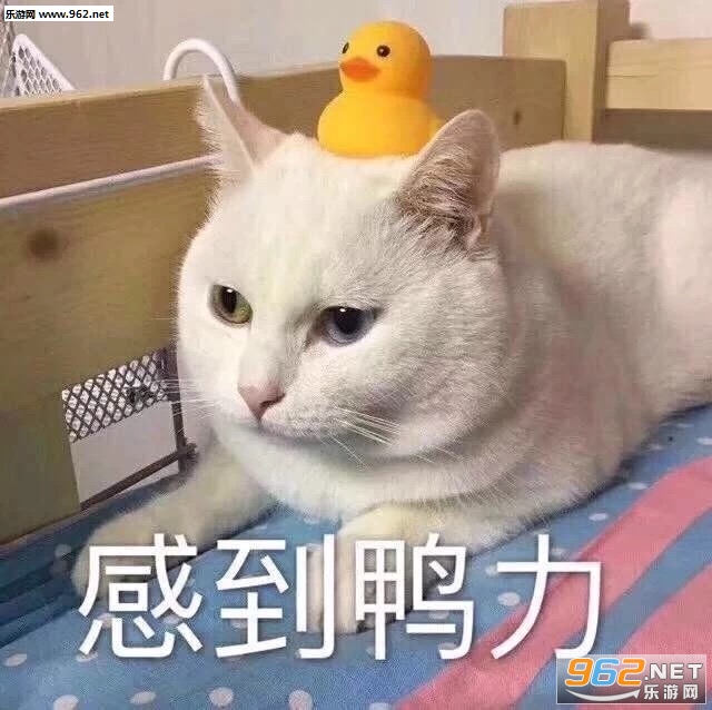 你好啊野猪佩奇表情包