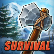 Survival Game Winter Island(Ϸ׿)