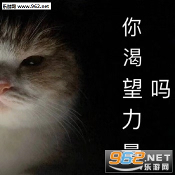 仙女是不能说妈卖批的表情包