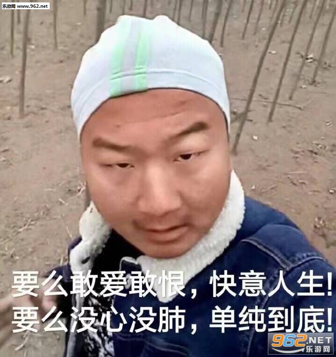 闰土刺猹身上纹表情包图片