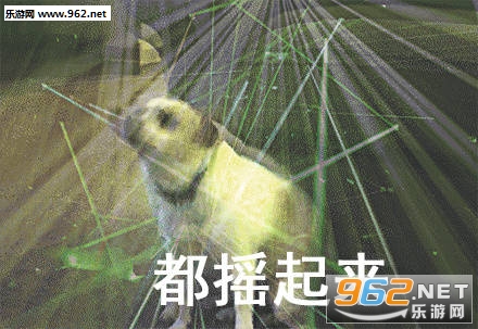 笑容逐渐放肆柴犬表情包-瘫倒表情包图片下载-乐游网