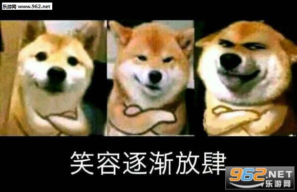 笑容逐渐放肆柴犬表情包-瘫倒表情包图片下载-乐游网游戏下载