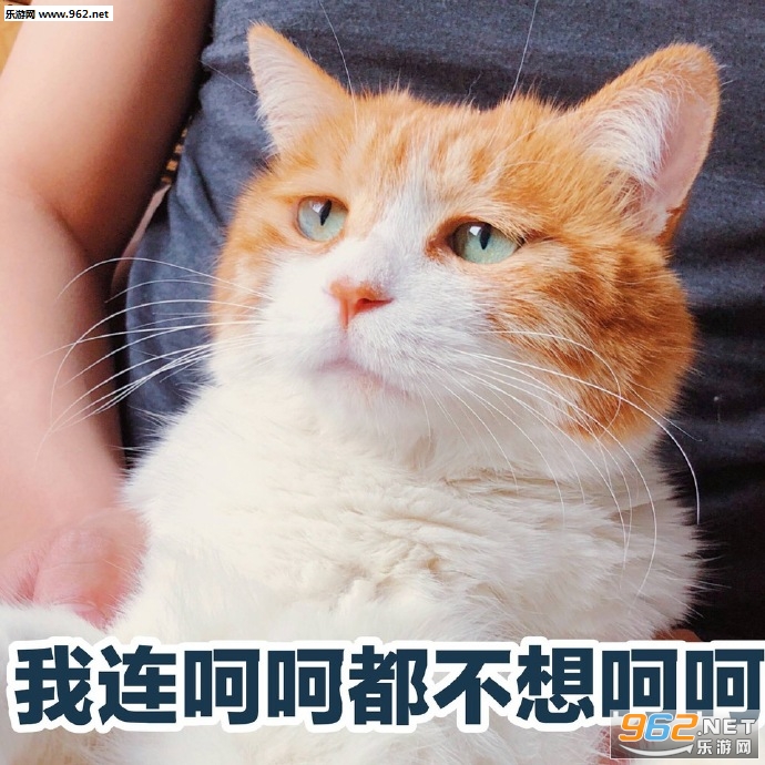 性感渣男在线陪玩表情包|我连呵呵都不想呵呵