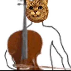 沙雕猫拉乐器动态表情包