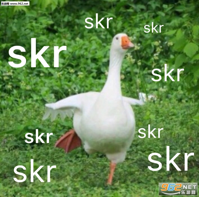 skr是什么意思什么梗表情包
