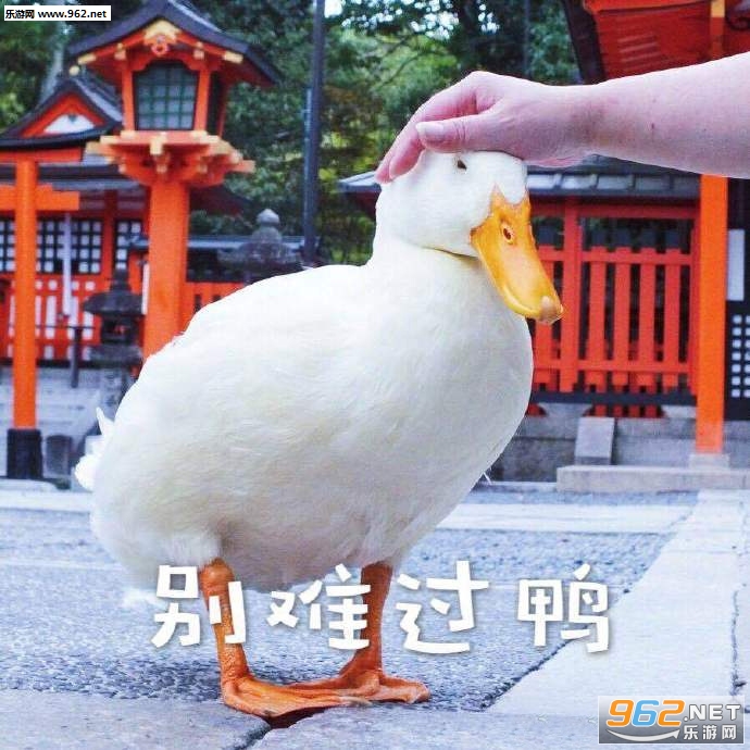 来快活鸭喜欢你鸭别难过鸭表情包