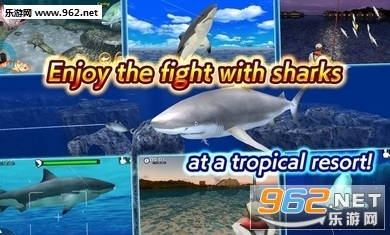 SharkFishing(CҰĝh)v1.0.3؈D1