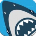 Shark Pool׿