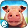 PigSimulator(Сģ2׿)