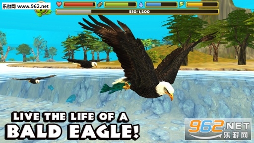 Eagle SimulatorģMv1.0؈D0