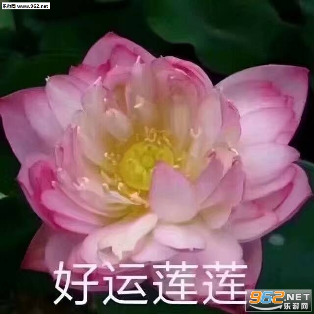 似水流年中老年表情图片-心平气和佛系表情包下载-乐