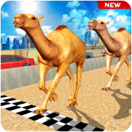 Camel Desert Race Simulator - Animals Racing 3D(ģ׿)