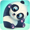 My Panda(Pu Adorable׿)