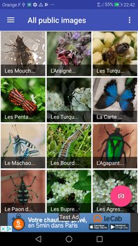 Insect Recognition(ʶ׿)v1.2.4(Insect Recognition)ͼ0