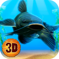 Catfish Life: Fish Simulator(T~ģM׿)