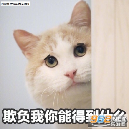 江南江北一条街打听打听谁是爹小猫表情包-我不仅看到