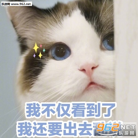 江南江北一条街打听打听谁是爹小猫表情包-我不仅看到