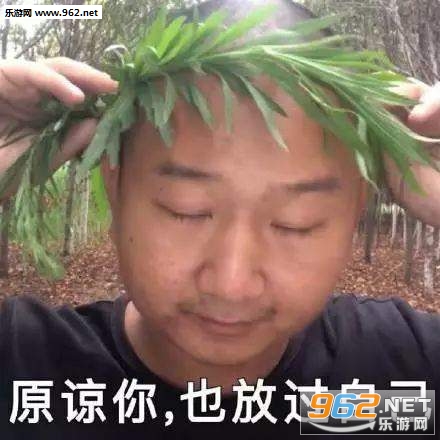 认我做大哥教你梳中分表情包