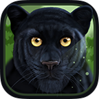 Wild Panther Sim(ڱģ3D׿)