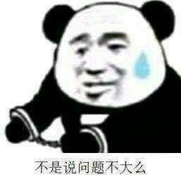 不是说问题不大么表情包图片