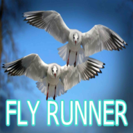 FLY RUNNER׿v1(endless)