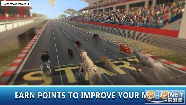 Dog Racing Tournament 2(Dog Racing Tournament Sim 2׿)v1.1.0ͼ1
