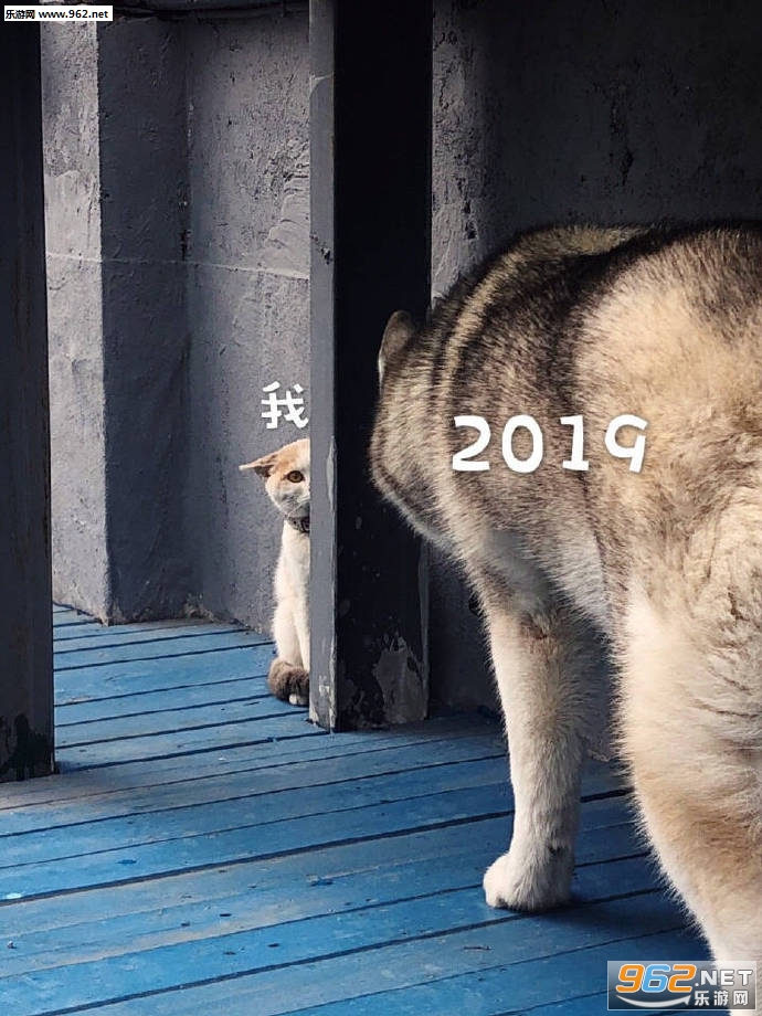 2019ҺһͼƬ