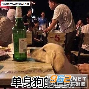 姐姐你的鞋表情包图片