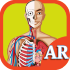 AR Human Organs(ARٰ׿)
