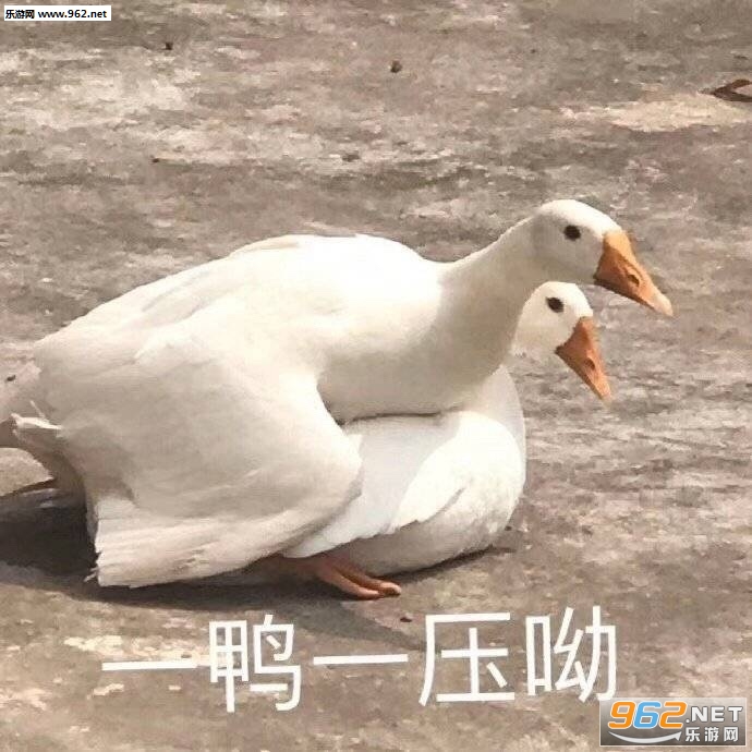 我擦我擦表情包